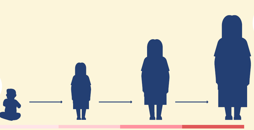 Illustration: tidslinje med ett litet barn som i fyra steg blir större.