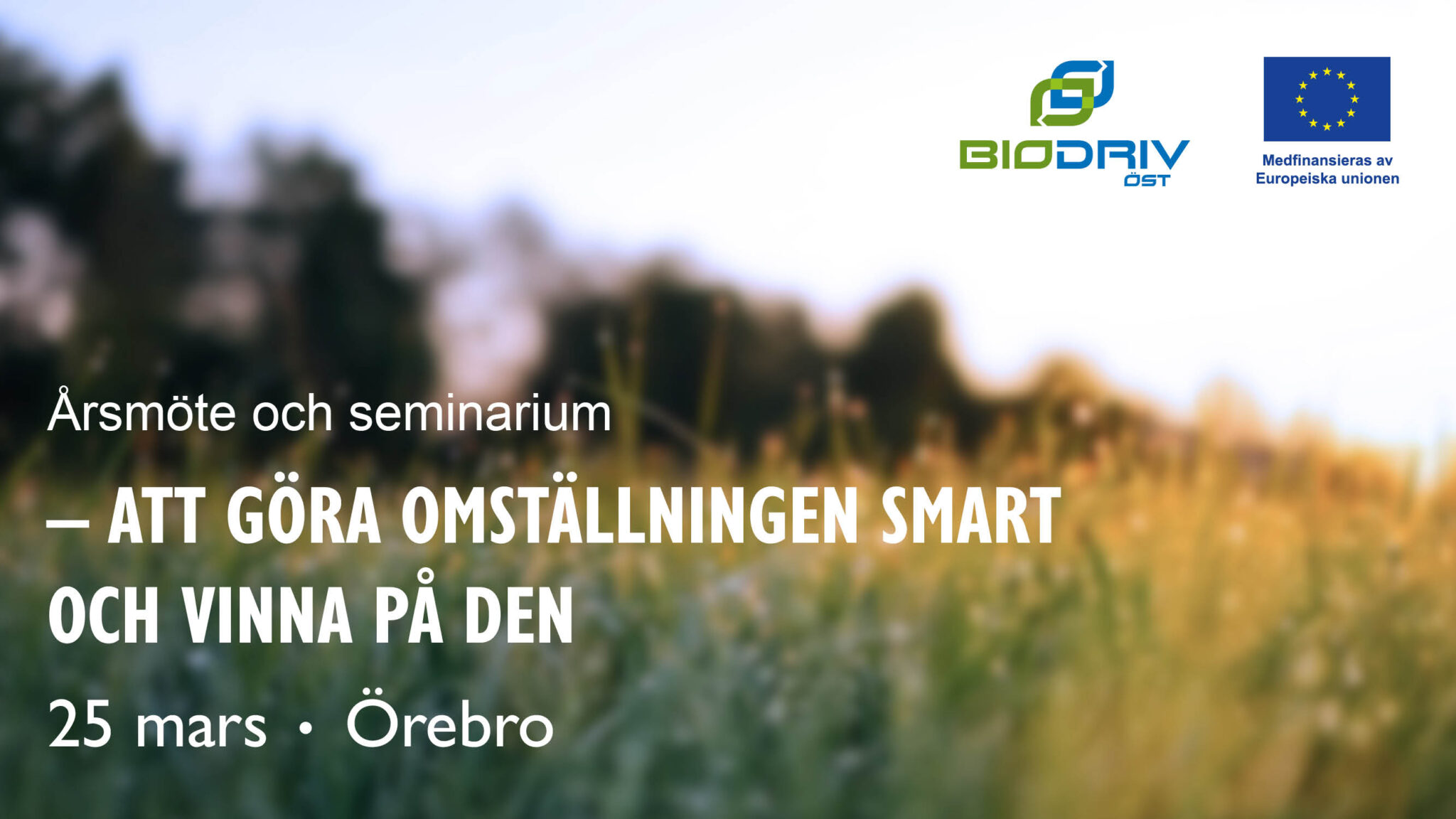 Blurrig naturbild och texten "Att göra omställningen smart och vinna på den"