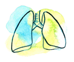 Illustration i vattenfärg i blått och grönt föreställande ett par lungor.