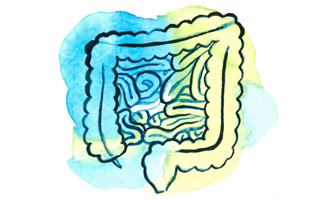 Illustration i grön och blå vattenfärg som visar tarmar i magen.