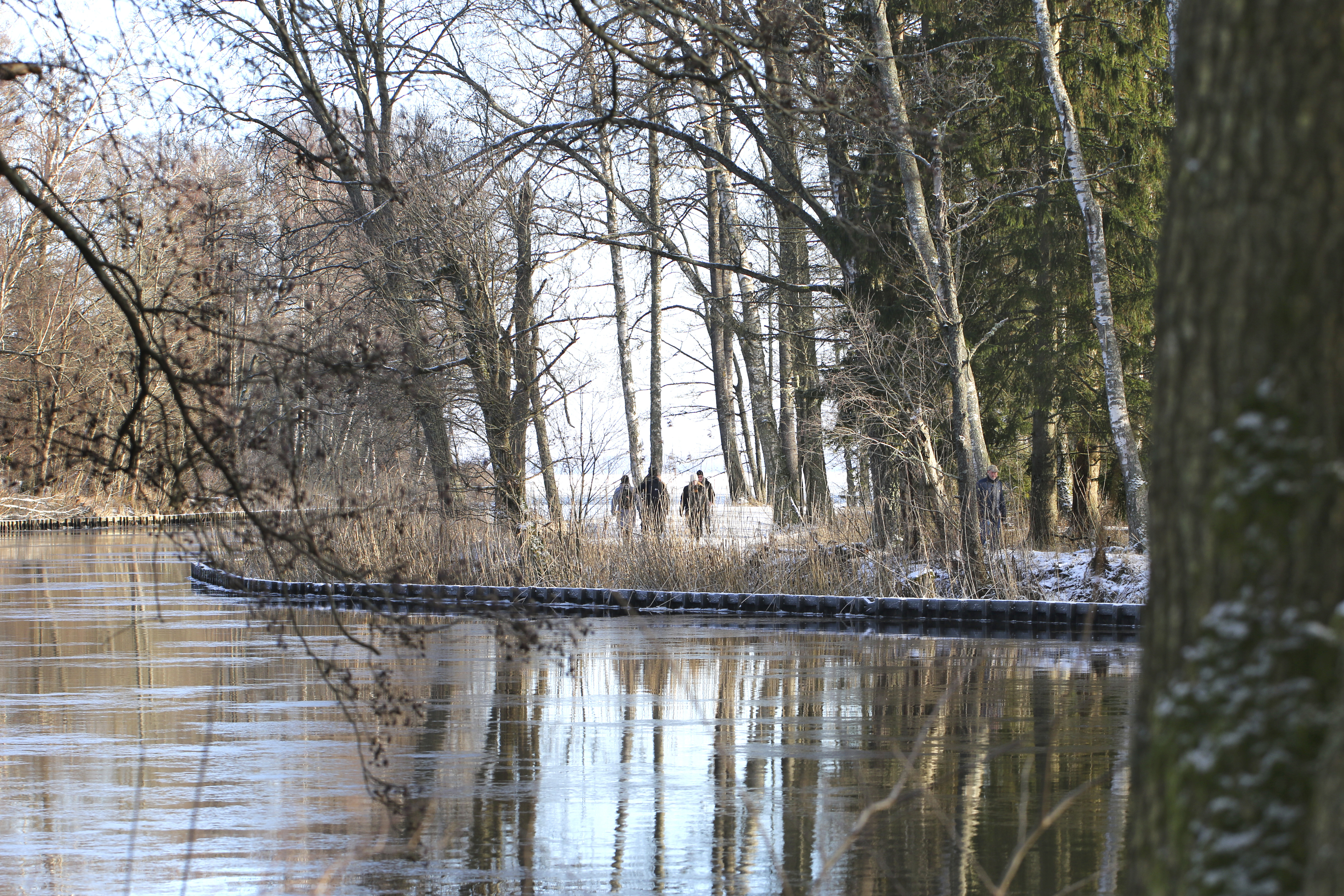 Promenadstråk Rynningeviken